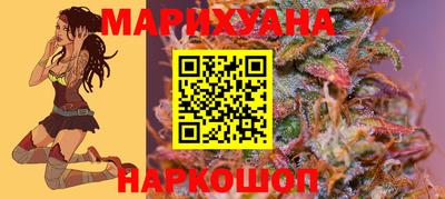 прущие крисы Кингисепп