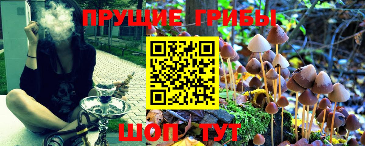Галлюциногенные грибы мухоморы Кингисепп